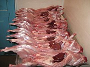 Охлаждённое и замороженное мясо кролика(тушки) Раменское