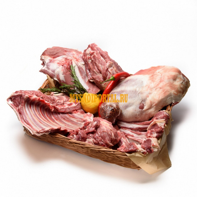 Туши Бараньи (Ягнятины) , н/к, Охл/Зам, в Санкт-Петербурге Санкт-Петербург - изображение 1