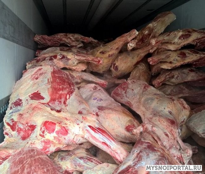 Куплю Туши говяжьи н/к, Охл/Зам, в Москве Москва - изображение 1