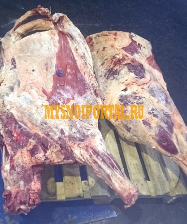 Полутуши говяжьи, коровы Москва - изображение 1