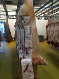 Свинина в полутушах 3ей категории обрезной Челябинск
