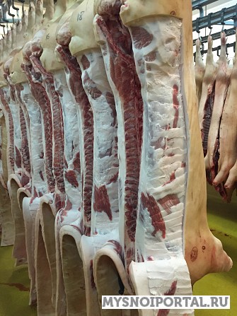 Свинина в полутушах 4ой категории обрезной Челябинск - изображение 1