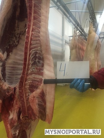 Свинина в полутушах 4ой категории Челябинск - изображение 1