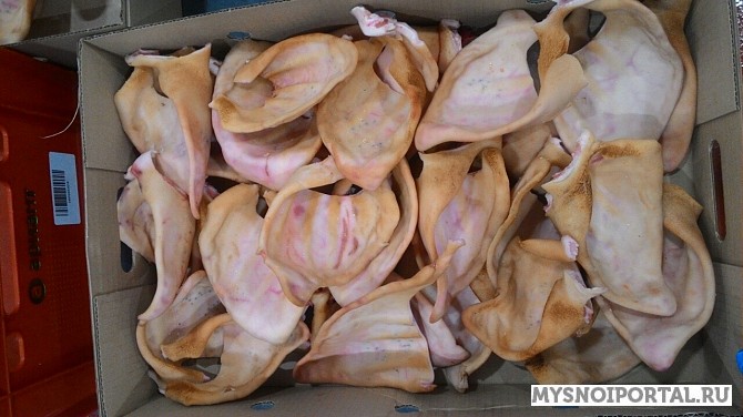 Уши свиные Челябинск - изображение 1