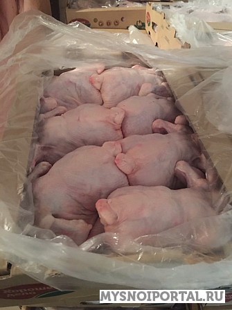 Куриные тушки Челябинск - изображение 1