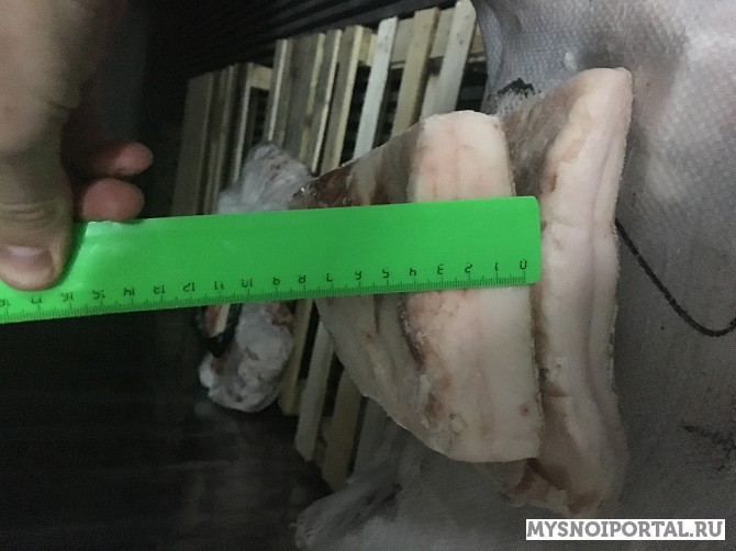 Шпик свиной 3+ Челябинск - изображение 1