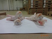 продам Лапы,любые куриные,свиные субпродкуты,продукцию Халяль ГОСТ-ЦБ Белгород