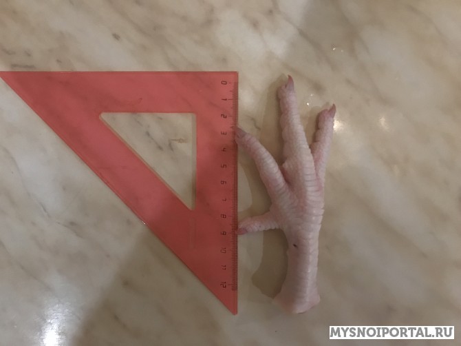 продам Лапы,любые куриные,свиные субпродкуты,продукцию Халяль ГОСТ-ЦБ Белгород - изображение 1