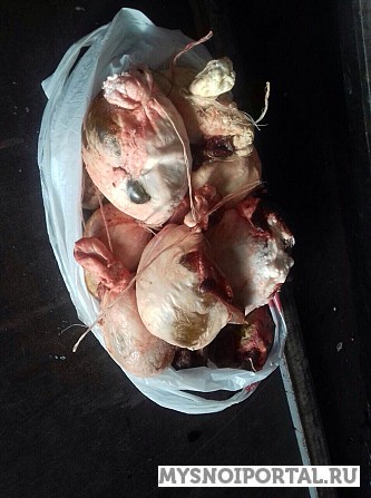 Желчь говяжья Казань - изображение 1