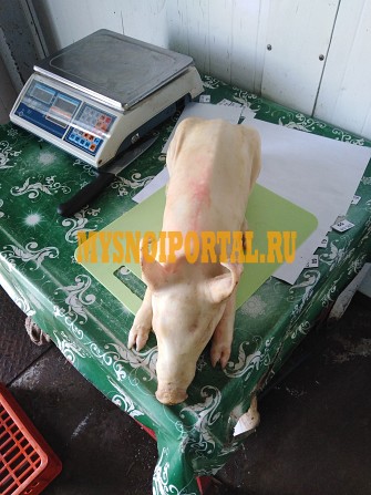 Продаю Туши свиные н/к, Охл/Зам, категория - V (мясо просят) в Москве Москва - изображение 1