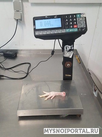 Ноги куриные от 100 кг, оптом в Казани Казань - изображение 1