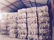 Продаю Шерсть баранья от 100 кг РФ зам,  в Казани  доставка из г.Казань