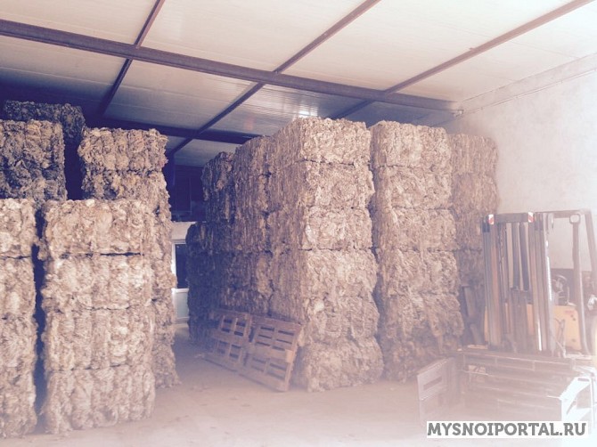 Продаю Шерсть баранья от 100 кг РФ зам, в Казани Казань - изображение 1