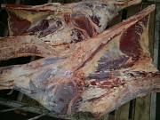 Быки,Коровы 1,2 кат Беларусь Санкт-Петербург