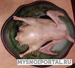 мясо гуся молодого домашнего (тушки) Красноярск - изображение 1