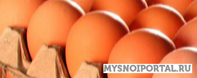 Яйцо куриное Боровский - изображение 1