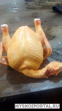 Домашний бройлер Нальчик - изображение 1