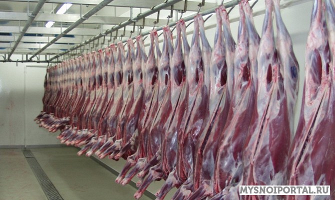 Продаем мясо Северного Оленя оптом и в розницу Санкт-Петербург - изображение 1