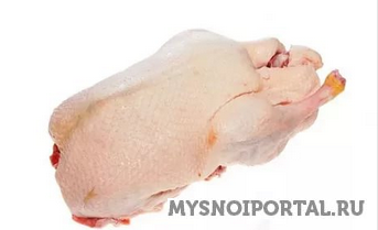 Купим утиные тушки Москва - изображение 1