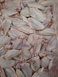 Закупаем куриные лапы, локоть Москва