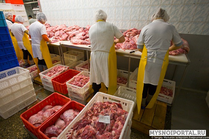 Услуги цеха Москва - изображение 1