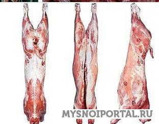 Куплю говядину туши Москва - изображение 1