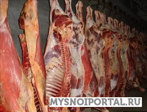 Куплю говядину полутуши Москва - изображение 1