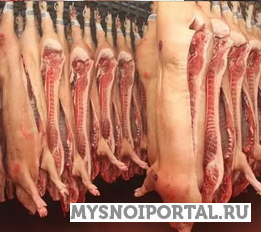 Купим Свинину полутуши Москва - изображение 1