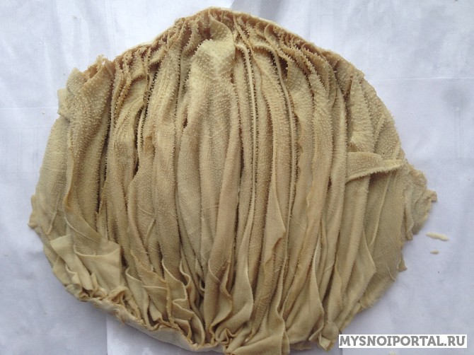 Куплю книжку говяжью, соленую Нижний Новгород - изображение 1