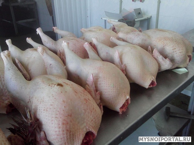 Услуги по забою - обвалке индюков Ставрополь - изображение 1