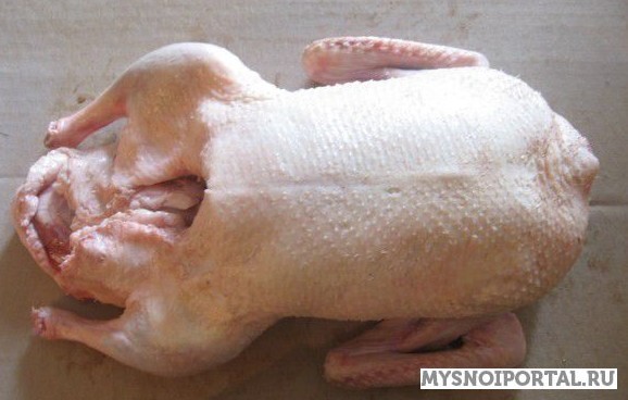 Гусь тушка Москва - изображение 1