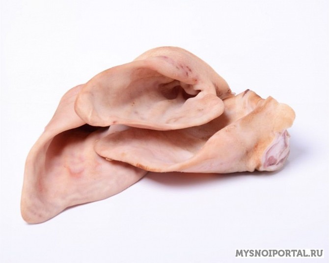 Куплю уши свиные Владимир - изображение 1