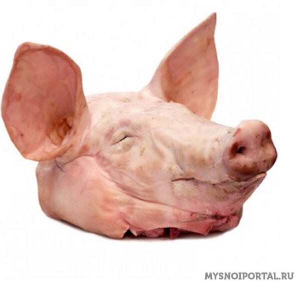 Куплю головы свиные не ограбленные Уфа - изображение 1