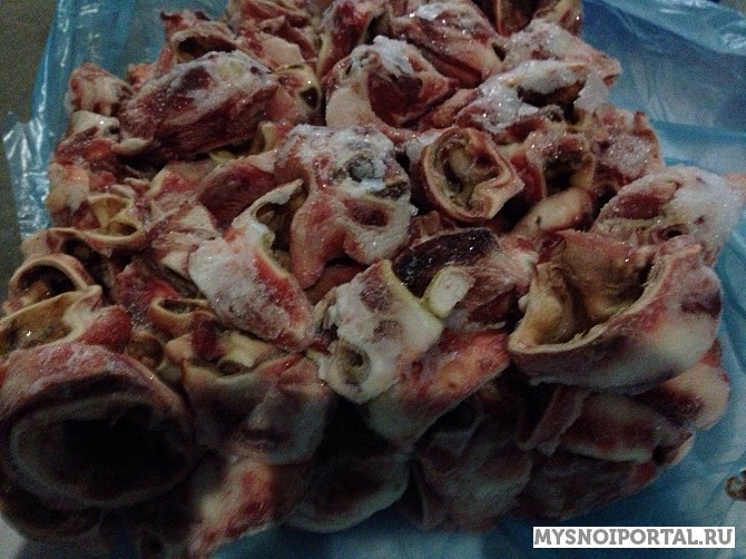 Куплю Ушные Раковины Любой Объём Срочно! Москва - изображение 1