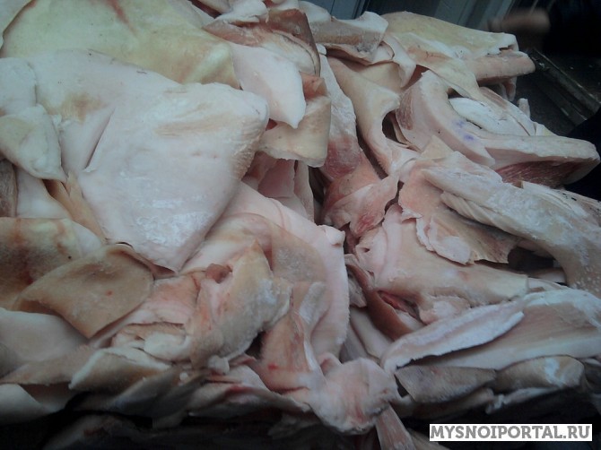 Куплю шпик хребтовой Москва - изображение 1