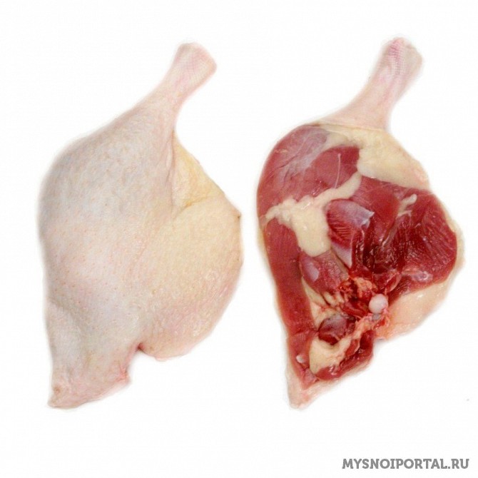 Куплю окорок утиный Санкт-Петербург - изображение 1