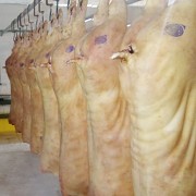 Свинина оптом Москва