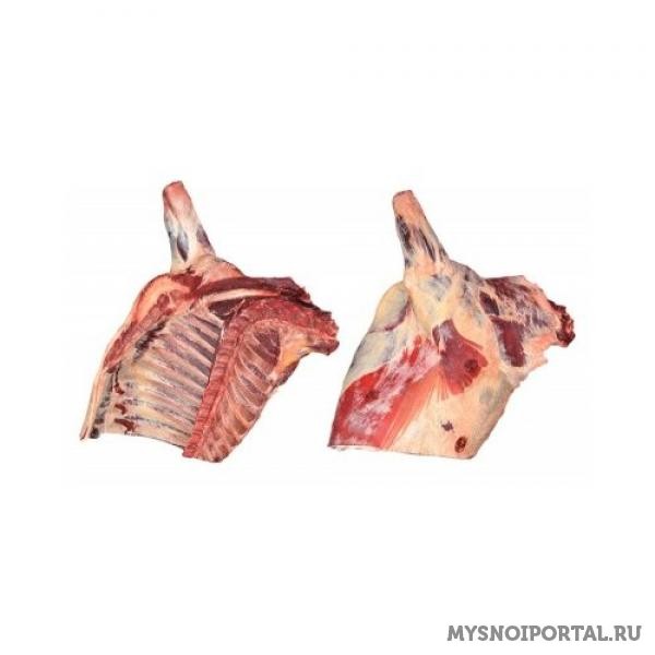 Закупаем говядину в четвертях Санкт-Петербург - изображение 1