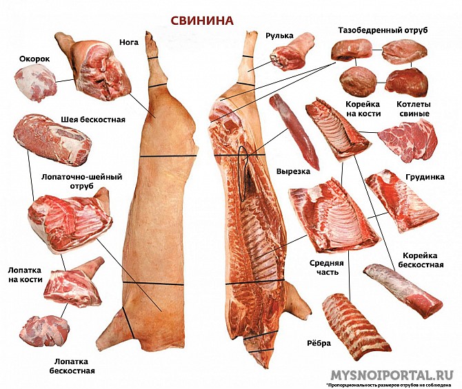 Куплю мясо разделку свинины Краснодар - изображение 1