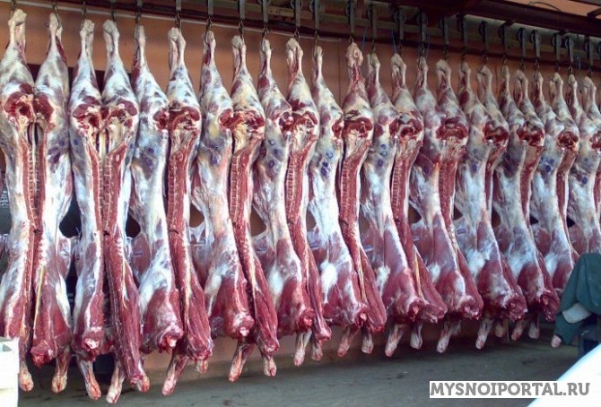 Куплю Полутуши Говяжьи в Барнауле Барнаул - изображение 1