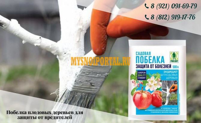 Побелка садовая Грин Бэлт Санкт-Петербург - изображение 1