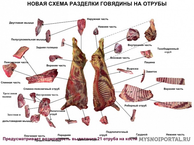 Куплю говядину Бразилия Москва - изображение 1