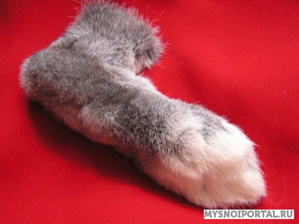 Закупаем задние кроличьи лапы Москва - изображение 1