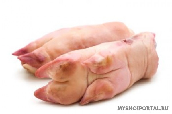 Куплю Свиные копыта Ростов-на-Дону - изображение 1