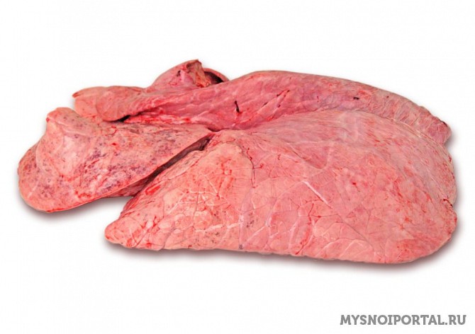 Закупаем Свиные лёгкие Ростов-на-Дону - изображение 1