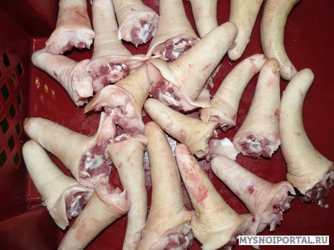 Закупаем Свиные хвосты Ростов-на-Дону - изображение 1