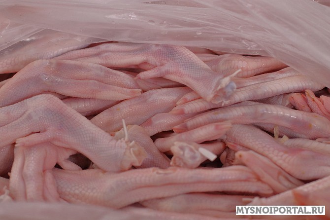 Куплю утиные лапы Екатеринбург - изображение 1