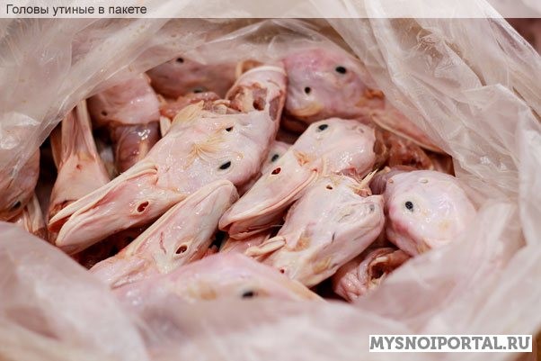 Купим утиные головы Екатеринбург - изображение 1
