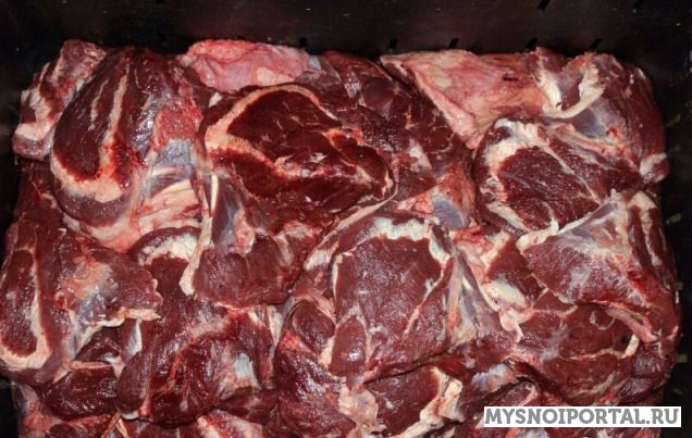 Купим мясо говяжьих голов Алтайское - изображение 1