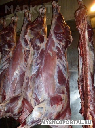 Куплю охлаждённое мясо говядины в тушах Красноярск - изображение 1